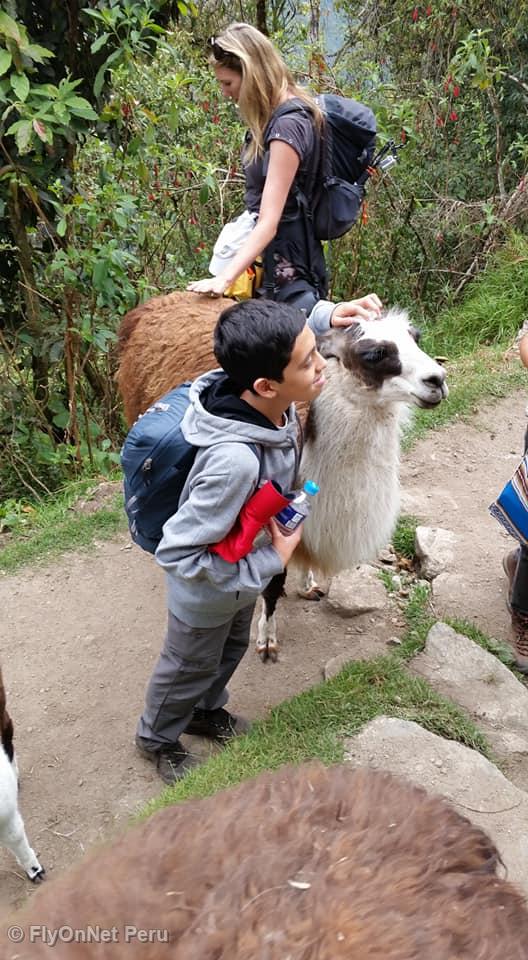 Álbum de fotos: Machu Picchu