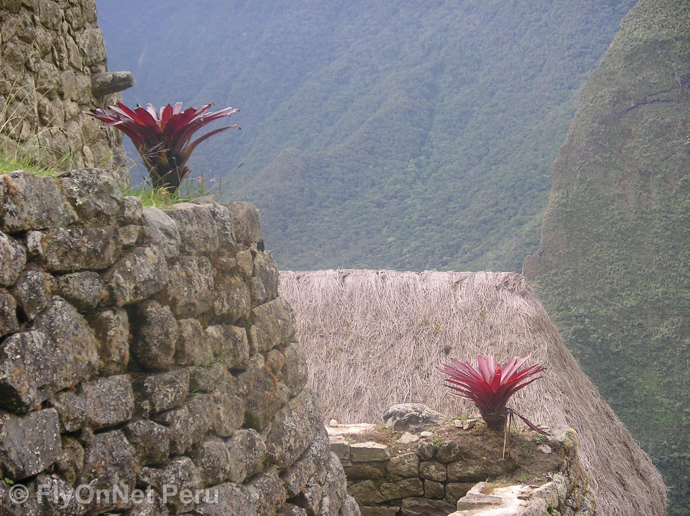 Álbum de fotos: Machu Picchu